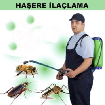 Battalgazi Böcek İlaçlama